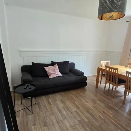 Apartment Cozy 2-bedroom In Vibrant Zurich