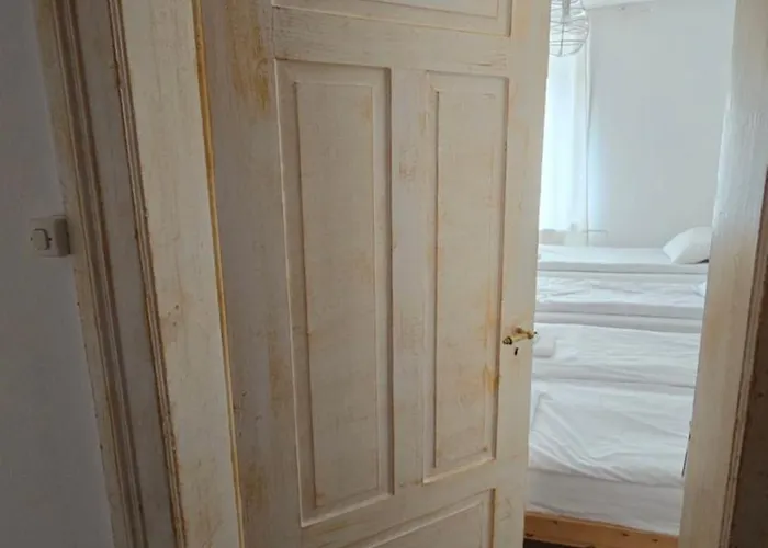 Apartment Cozy 2-bedroom In Vibrant Zurich