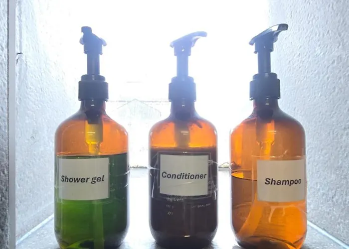 Cozy 2-bedroom In Vibrant Apartment Zurich