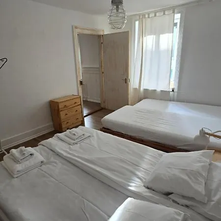 Cozy 2-bedroom In Vibrant Apartment Zürich