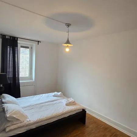 Cozy 2-bedroom In Vibrant Zúrich