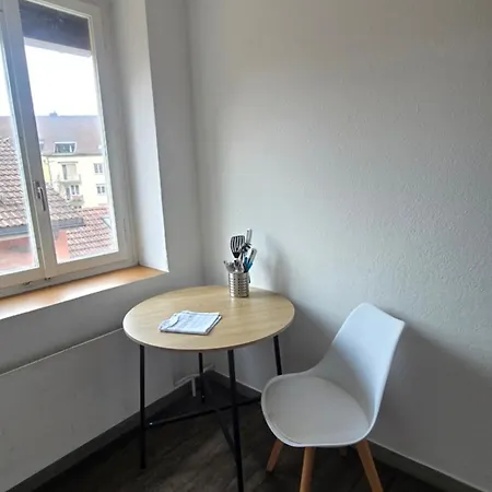 Apartamento Cozy 2-bedroom In Vibrant Zúrich